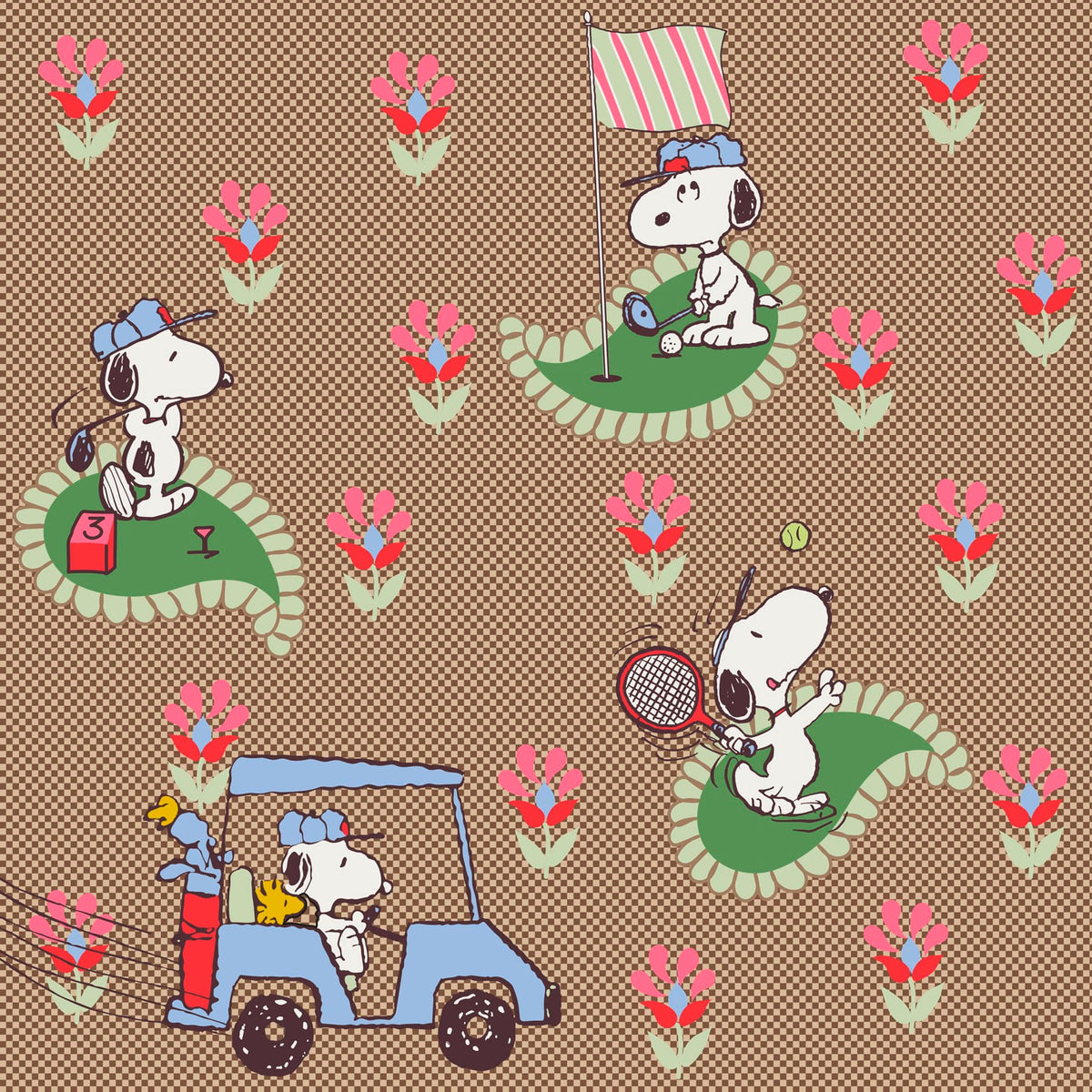 Peanuts Large Pouch