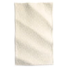 Pumice Stone