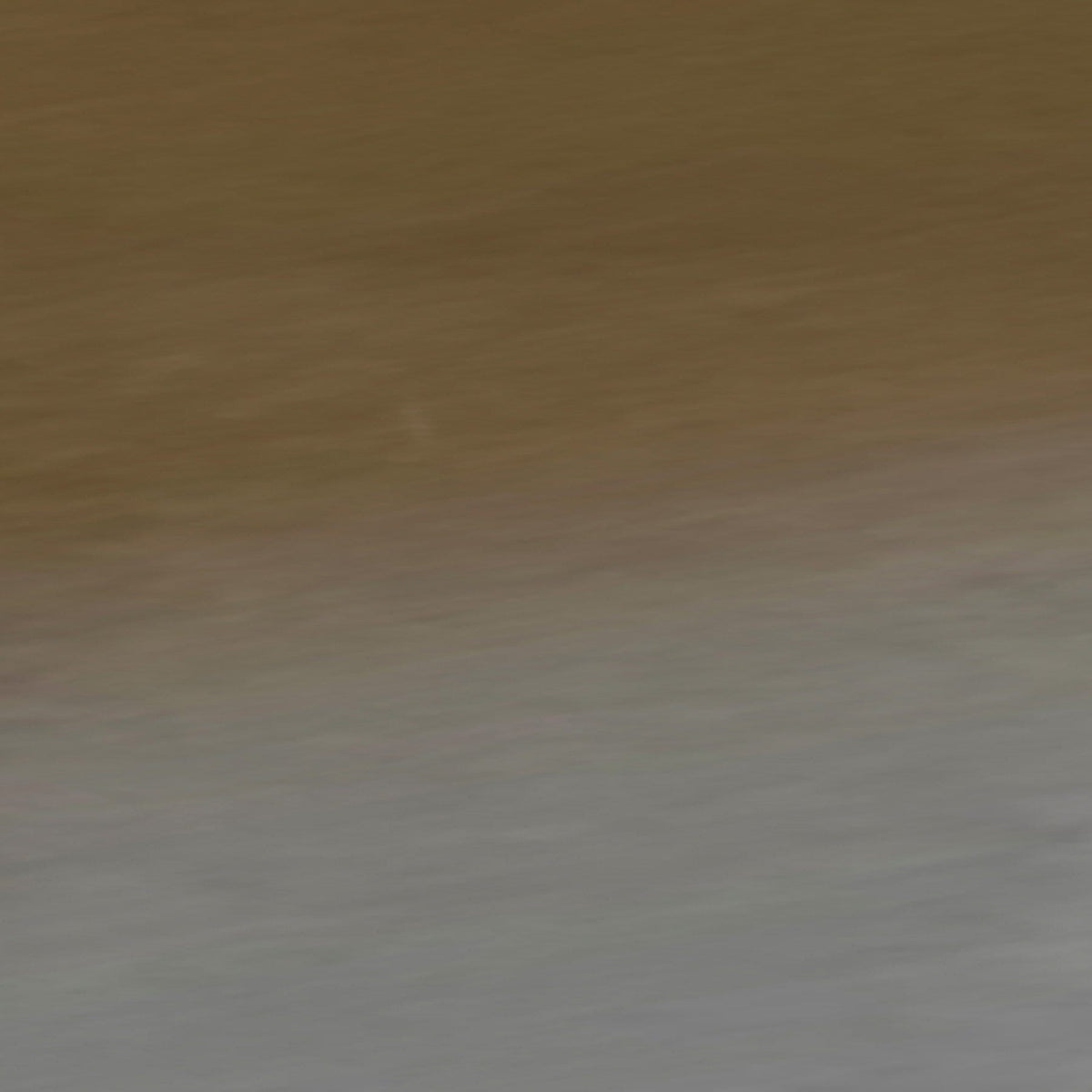Dall Polarized Sunglasses