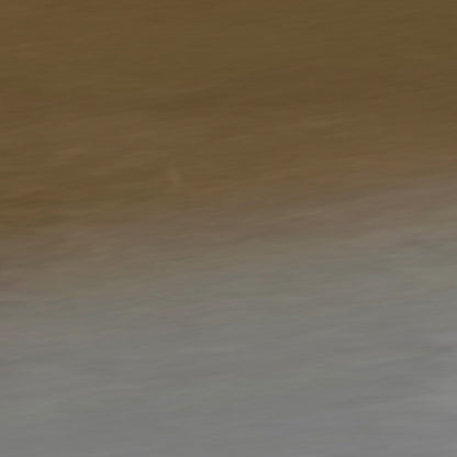Dall Polarized Sunglasses