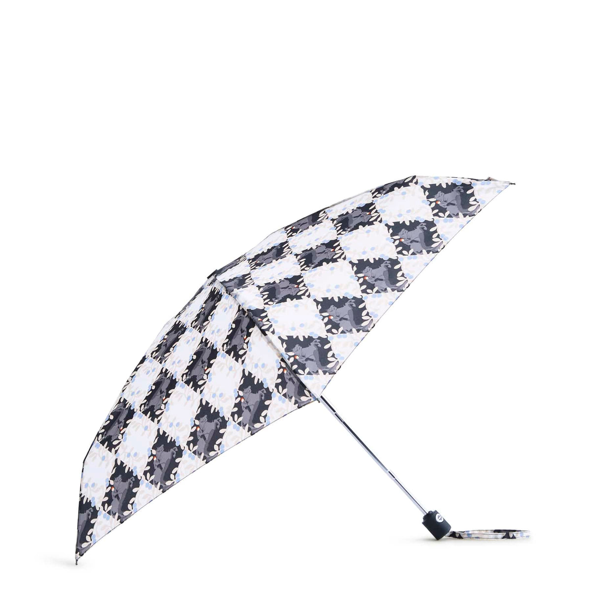 Harry Potter™ Mini Umbrella